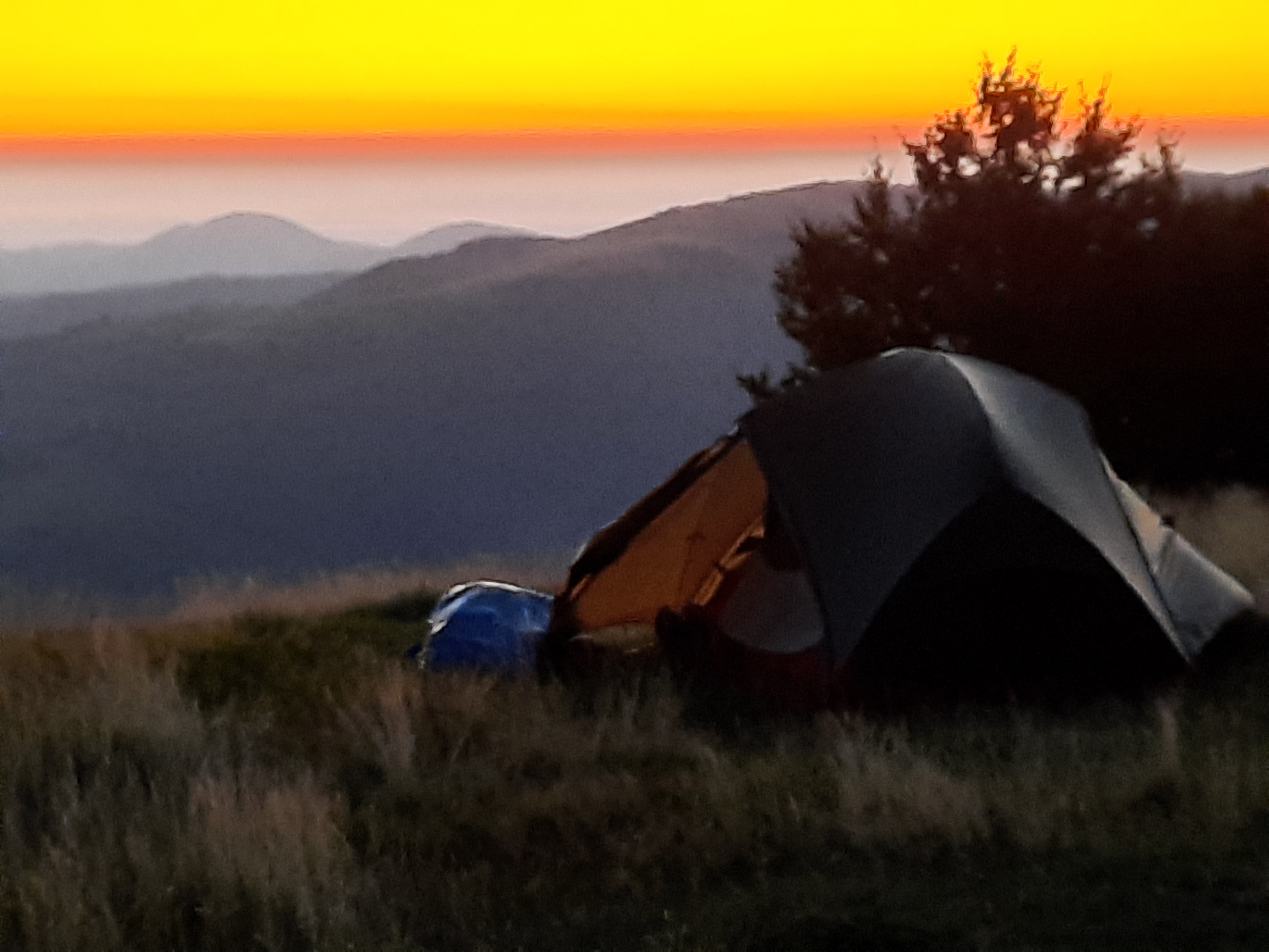 Une photo d'une tente